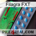Filagra FXT new03